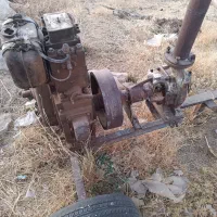 مارگو اصل انگلیس