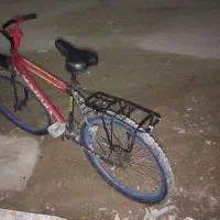 دوچرخه 26ویوا