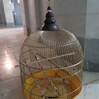 قفس بزرگ۱۰۳۳ و قفس گنبدی و لوازم کامل عروس هلندی|لوازم جانبی حیوانات|کرج, حصارک بالا|دیوار