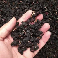 میوژ ترە رشە