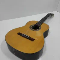 گیتار ZIIN