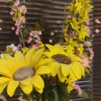 پیک موتوری بدون بار