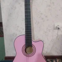 گیتار با کیف محافظ گیتار