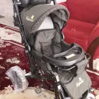 سرویس کالسکه دلیجان