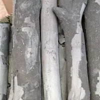 زغال لیموی جنوب|عمدهفروشی|شیراز, حافظیه|دیوار