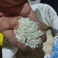 برنج|خوردنی و آشامیدنی|نجف‌آباد, فاز ۱ شهرک آزادگان|دیوار