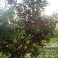 جذب سرمایه گذار