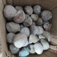 کوت عبدالله