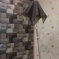 آباژور ایستاده سالم