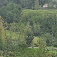 زمین جنگلی کوهستانی لاهیجان با ویو بینظیر|فروش زمین و ملک کلنگی|لاهیجان, بوجایه|دیوار