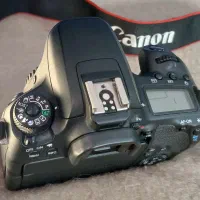 دوربین کنون 77D|دوربین عکاسی و فیلم‌برداری|گناباد, |دیوار