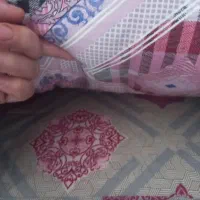 دوعدد تشک پشم