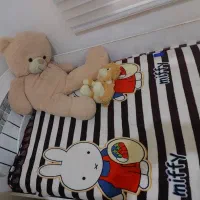 تخت دو نفره و تخت کودک|تخت و سرویس خواب|گنبد کاووس, |دیوار