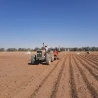 راننده تراکتور