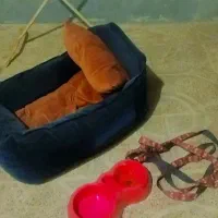 جاخواب سگ به همراه قلاده ظرف غذاخوری