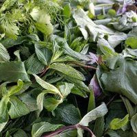 سفارش انواع سبزی آماده