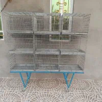 قفس اردشیری