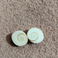 فروشی زیور آلات لطفاً پیام بدهید تا توضیح بدم|زیورآلات و اکسسوری|قلعه گنج, |دیوار