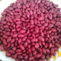 لوبیا قرمز|خوردنی و آشامیدنی|محمدیه-قزوین, |دیوار