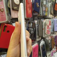 iphone 11 normal آیفون 11|موبایل|مشهد, استاد یوسفی (شهرک غرب)|دیوار