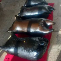 هیزه|مجسمه، تندیس، ماکت|اسلامآباد غرب, |دیوار