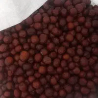 عناب تازه بیرجند درشت