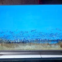 ال ای دی ۴۹،۵۰ اینچ الجی اصل کره ای درحدled lg