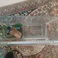 آکواریم بزرگ یکعدد کوچک یکعدد پمپ هوا