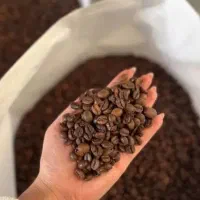 پخش عمده قهوه و شکلات