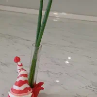 گلدون|گل و گیاه طبیعی|مشهد, فرهنگیان (شهرک غرب)|دیوار