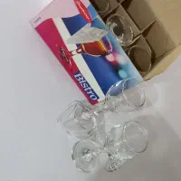 جام پاشا باغچه نو
