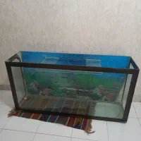 اکواریوم 120 سانتی سالم