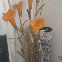 آباژورایستاده گل ارکیده