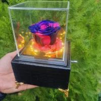 باکس چرمی موزیکال گل رز جاودان اسپیناس رز کد ۹۳|گل و گیاه طبیعی|تهران, میدان ولیعصر|دیوار
