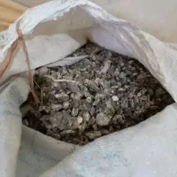 فضله کبوتر|خدمات باغبانی و درختکاری|سنندج, |دیوار