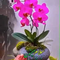 فروش خط تلفن ثابت