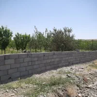 باغ-فروشی-مکان-محدوده-گلبهار-چناران-فاصله-10-دقیقه