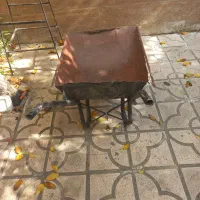 فرغون