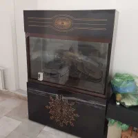 آکواریوم فوری فروشی