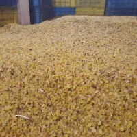 خدمات شستشو و بسته بندی انواع کشمش|ماشین‌آلات صنعتی|بناب, |دیوار