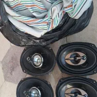 باند۷۱۸ باند پایونر چادر پژو