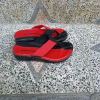 کفش و کتونی