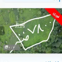 باغ چای سیاهکل گیلان