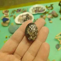 آموزش گوهرتراشی|خدمات آموزشی|قم, ارم|دیوار