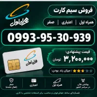 0993-95-30-939