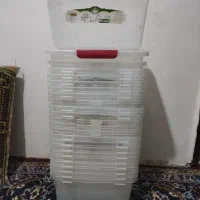 ظروف کاربردی