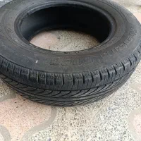 لاستیک پیکانی