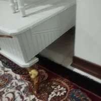 میز جلو مبیلی|مبلمان خانگی و میز عسلی|تهران, آذری|دیوار