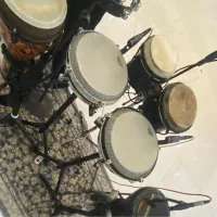 تراول کونگا کامپکت