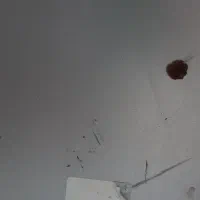 پکیج بوتان مدل کالداونزیلا|آبگرمکن، پکیج، شوفاژ|الوند, |دیوار